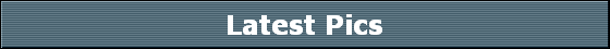 Latest Pics